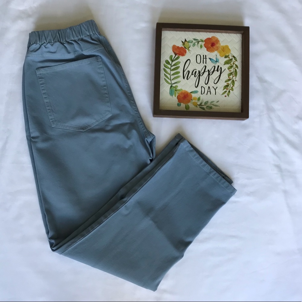 Isaac Mizrahi Live! 24/7 Stretch Ankle Pants 12